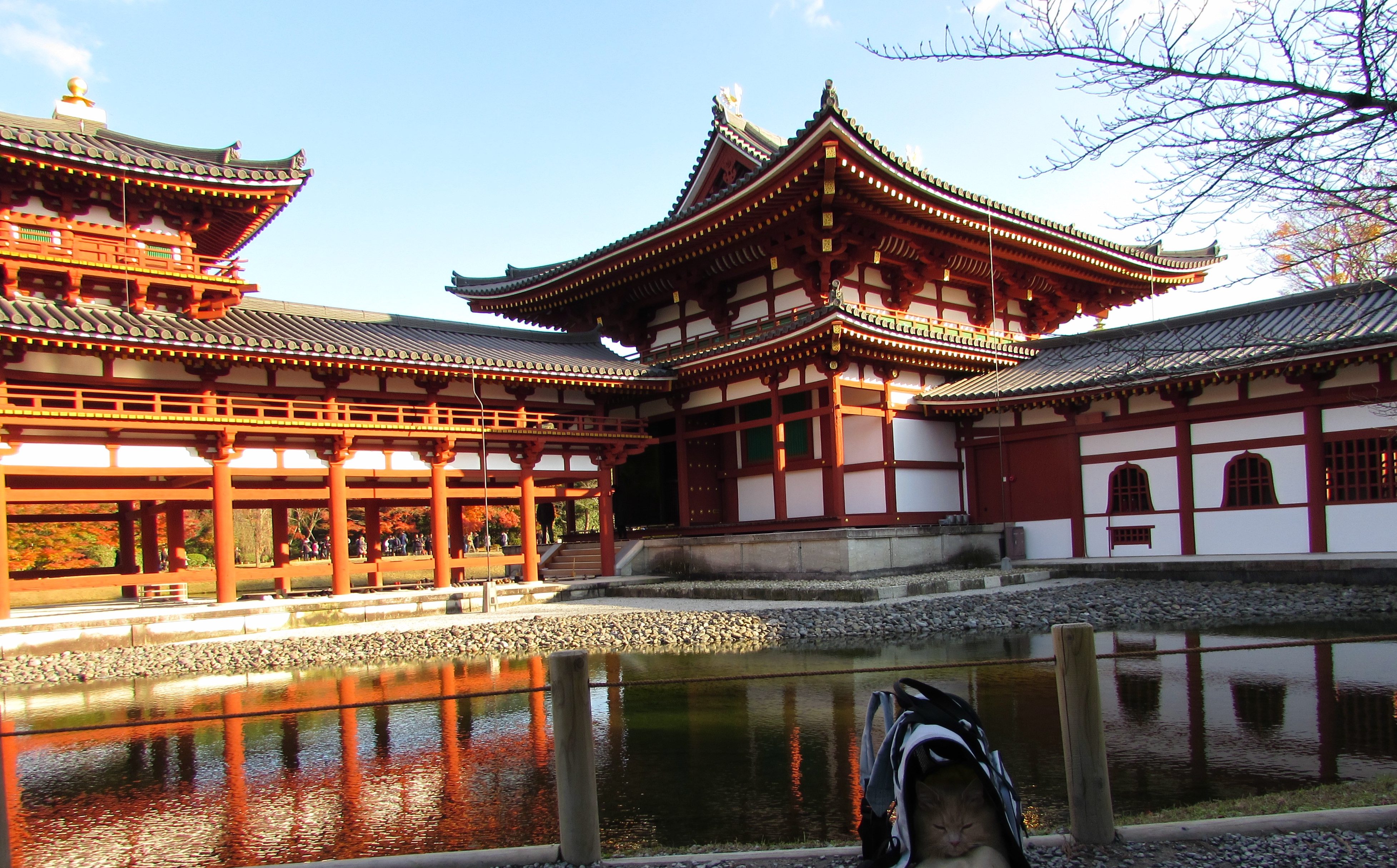 平等院位於京都府宇治市世界文化遺產 日本貓的旅行指南